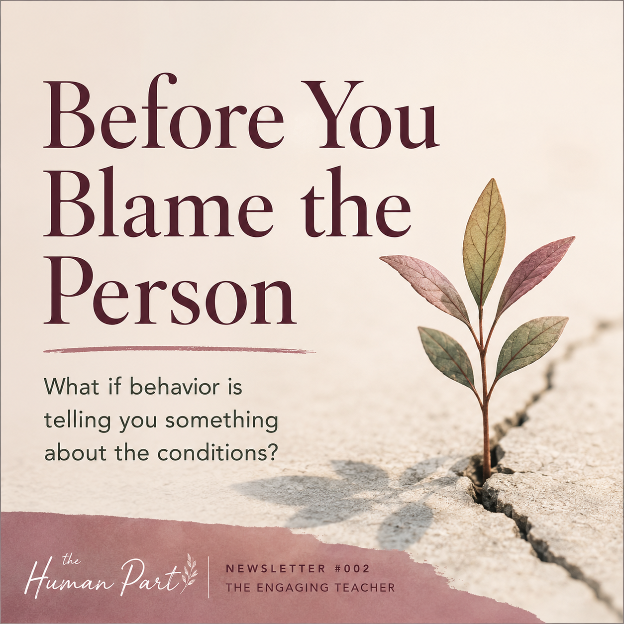 The Human Part newsletter cover by Brooke A. McKinney featuring the title “Before You Blame the Person.” A young plant emerges from cracked stone, symbolizing resilience, growth, and the influence of conditions on human behavior. The image supports themes of student engagement, workplace motivation, psychological safety, leadership development, coaching, instructional design, organizational culture, belonging, competence, agency, novelty, and the Four Conditions of Real Engagement framework. The Engaging Teacher newsletter on learning, judgment, and human capability in the age of AI.